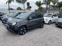 usata Fiat Panda Cross 1.0 FireFly S&S Hybrid