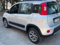 Usata Fiat Panda 4x4 S 95 CV (69 kW) 2017 Grigio Utilitaria