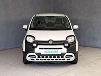 Usata Fiat Panda Cross Cross 70 CV (51 kW) 2023 Bianco Utilitaria