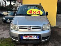 Usata Fiat Panda 4x4 69 CV (50 kW) 2010 Argento Utilitaria