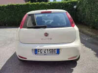Usata Fiat Punto Young 69 CV (50 kW) 2016 Bianco Utilitaria