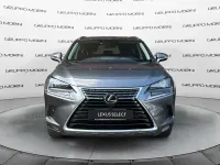 Usata Lexus NX300h 243 CV (178 kW) 2020 Grigio SUV