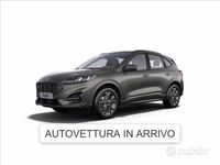 Usata Ford Kuga ST-Line 190 CV (139 kW) 2023 Grigio SUV