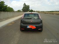 Usata Fiat Punto Evo 95 CV (69 kW) 2011 Grigio Utilitaria