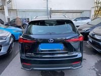 Usata Lexus NX300h Business Edition 155 CV (114 kW) 2017 SUV