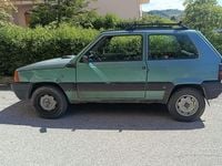Usata Fiat Panda 4x4 54 CV (39 kW) 2001 Verde Utilitaria