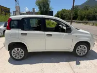 Usata Fiat Panda 80 CV (58 kW) 2015 Bianco Utilitaria