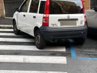 Usata Fiat Panda 69 CV (50 kW) 2008 Utilitaria