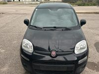 Usata Fiat Panda Lounge 85 CV (62 kW) 2016 Nero Utilitaria