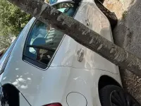 Usata Fiat Bravo 120 CV (88 kW) 2009 Bianco Utilitaria