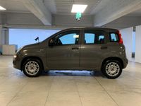 usata Fiat Panda 1.0 FireFly 70cv S&S Hybrid