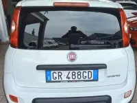 Usata Fiat Panda City Life 69 CV (50 kW) 2023 Bianco Utilitaria