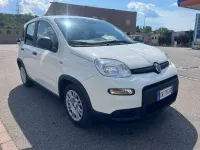 Usata Fiat Panda S 69 CV (50 kW) 2024 Bianco Utilitaria