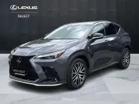 Usata Lexus NX300h Sport Line 309 CV (227 kW) 2022 Grigio SUV