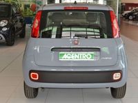 usata Fiat Panda 1.2 - serie 3 1.2 69cv s&s easy euro 6d-temp