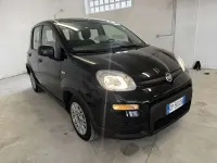 Usata Fiat Panda S 69 CV (50 kW) 2023 Nero Utilitaria