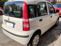 usata Fiat Panda 1.2 Benzina - EURO 5 ADATTA NEO PATENTATI