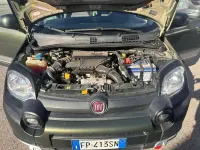 Usata Fiat Panda Cross Cross 95 CV (69 kW) 2018 Verde Utilitaria