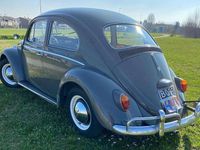 Usata VW Beetle 53 CV (38 kW) 1964 Grigio Utilitaria