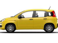 Nuova Fiat Panda S 71 CV (52 kW) 2025 Giallo Utilitaria