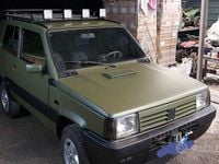 Usata Fiat Panda 4x4 75 CV (55 kW) 2023 Verde Utilitaria