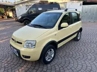 Usata Fiat Panda 4x4 69 CV (50 kW) 2009 Giallo Utilitaria