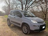 Usata Fiat Panda 4x4 S 86 CV (63 kW) 2018 Grigio Utilitaria