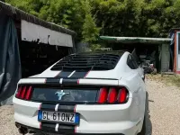 Usata Ford Mustang 291 CV (214 kW) 2022 Bianco Coupé