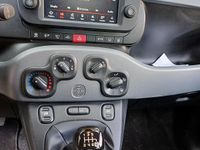 Usata Fiat Panda 4x4 85 CV (62 kW) 2020 Bianco Utilitaria