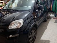 usata Fiat Panda 4x4 Panda 1.3 MJT 95 CV S&S 4x4 K-Way