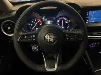Usata Alfa Romeo Stelvio Business 190 CV (139 kW) 2021 Grigio SUV