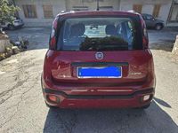 Usata Fiat Panda Red 69 CV (50 kW) 2023 Utilitaria