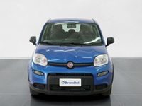 usata Fiat Panda 1.0 FireFly Hybrid