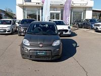 Usata Fiat Panda S 69 CV (50 kW) 2023 Grigio Berlina