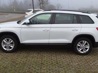 usata Skoda Kodiaq 2.0 TDI EVO SCR 4WD, DSG, 7 posti,