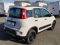 Usata Fiat Panda 4x4 S 86 CV (63 kW) 2019 Bianco Utilitaria
