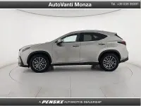 Usata Lexus NX450h+ 309 CV (227 kW) 2023 Argento SUV