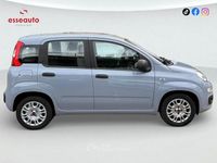 Usata Fiat Panda S 69 CV (50 kW) 2021 Grigio Utilitaria