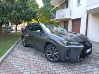 Usata Lexus UX 250h 184 CV (135 kW) 2023 Grigio SUV