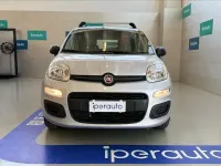 Usata Fiat Panda Lounge 69 CV (50 kW) 2019 Argento metallizzato Utilitaria