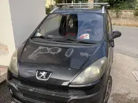 Usata Peugeot 1007 109 CV (80 kW) 2005 Monovolume