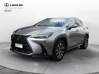 Usata Lexus NX350h Business Edition 243 CV (178 kW) 2023 Grigio SUV