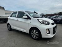 Usata Kia Picanto 67 CV (49 kW) 2016 Bianco Utilitaria