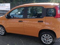 Usata Fiat Panda Easy 85 CV (62 kW) 2019 Giallo Utilitaria