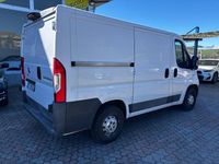 Usata Fiat Ducato 130 CV (95 kW) 2014 Bianco Furgone