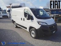 usata Fiat Ducato furgone 30q Ch1