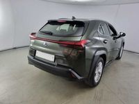 usata Lexus UX Hybrid Business del 2019 usata a Pordenone