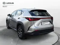 Usata Lexus NX350h Business Edition 243 CV (178 kW) 2023 Grigio SUV