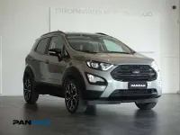 Usata Ford Ecosport Active 125 CV (91 kW) 2022 Grigio SUV