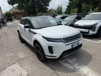 Usata Land Rover Range Rover evoque S 150 CV (110 kW) 2020 Bianco SUV